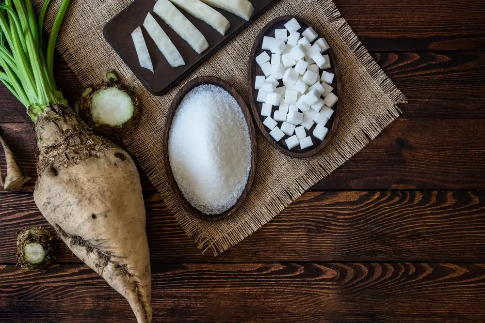 Von der Rübe bis zum Zucker