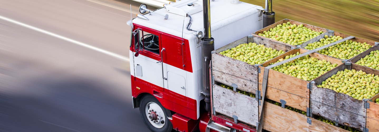 LKW beim Obsttransport: Damit die Versorgungskette funktioniert, müssen alle Schritte ineinandergreifen.