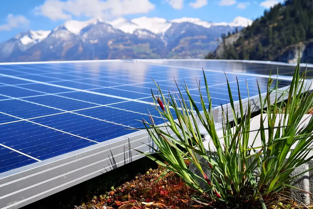 Best Practice: CO<sub>2</sub>-Reduktion in der Lebensmittelherstellung