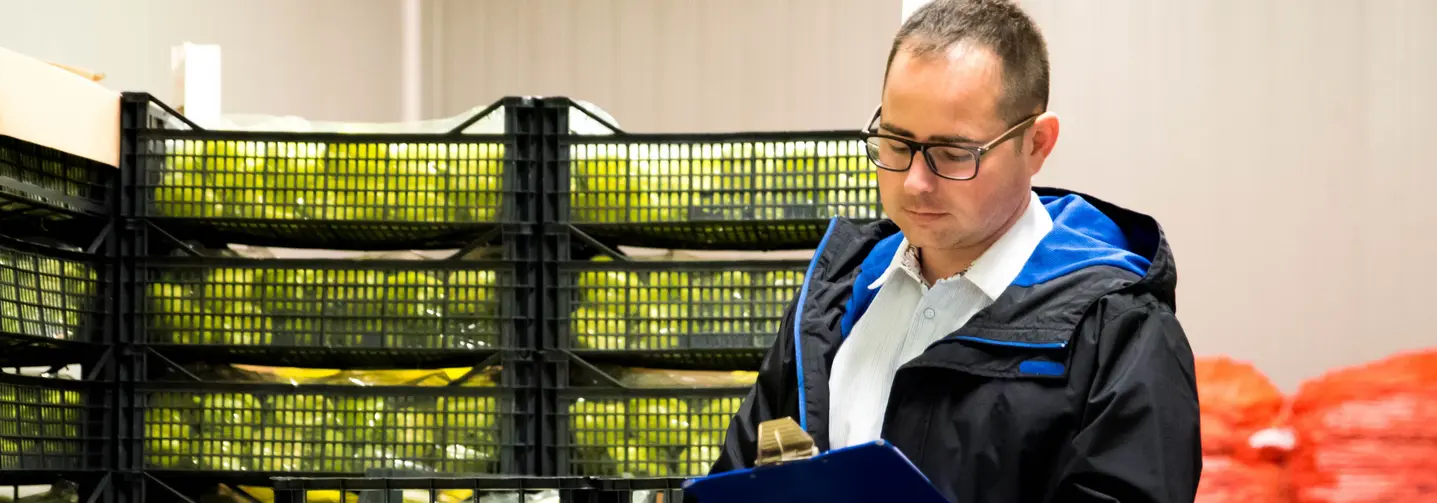 Rückverfolgbarkeit: Ein Mitarbeiter eines Lebensmittelunternehmens kontrolliert eine Gemüselieferung.