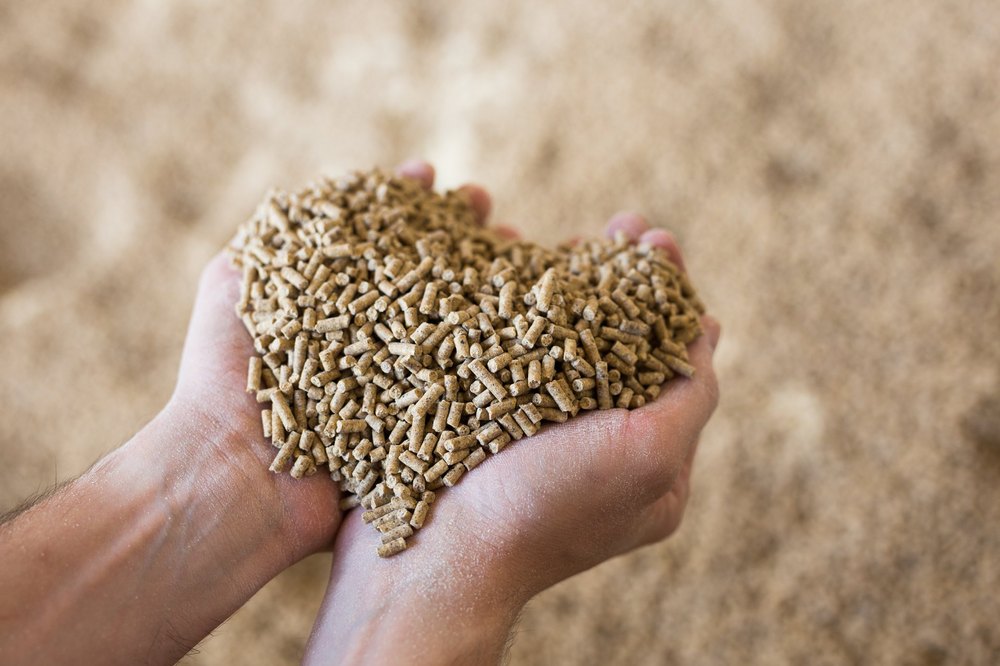 Futtermittel aus Bio­abfällen und tierischen Neben­produkten