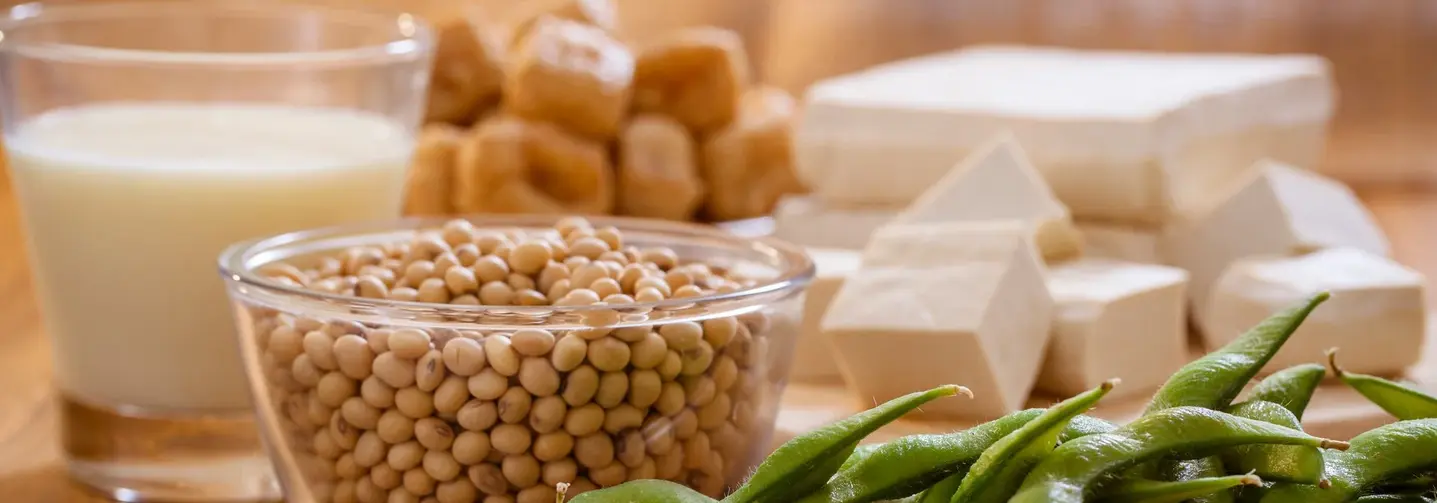 Aus Soja werden vielfältige Lebensmittel hergestellt. Tofu, Sojasauce, Edamame und Sojamilch sind einige Beispiele.