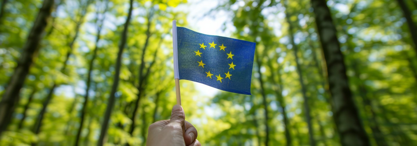 Eine Hand hält eine EU-Fahne vor dem Hintergrund einer grünen Waldkulisse.