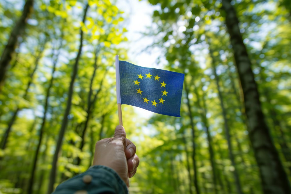 Die EU-Entwaldungsverordnung auf einen Blick