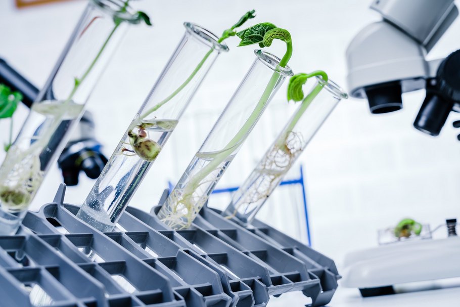Reagenzgläser im Labor: Gentechnik wird zum Beispiel für neue Methoden in der Pflanzenzucht eingesetzt.