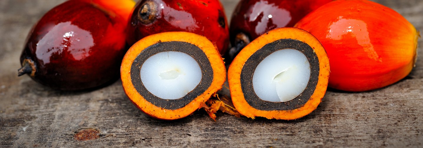 Frucht der Ölpalme in zwei Hälften geschnitten: Aus dem Fruchtfleisch wird Palmöl gewonnen, aus dem Kern Palmkernöl.
