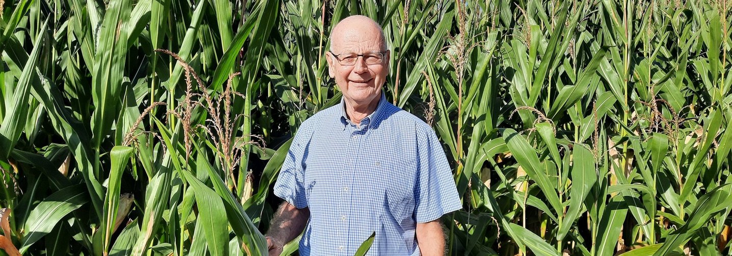 Alfred Mar (hier in einem Getreidefeld) ist Präsident der Internationalen Gesellschaft für Getreidewissenschaft und -technologie Austria.