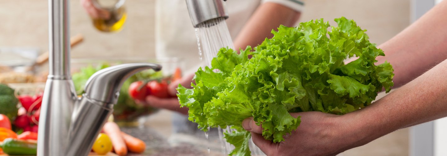 Frischer Blattsalat wird in einem Waschbecken gesäubert.