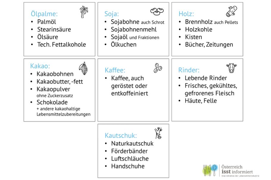 Sieben Kacheln, in denen die Rohstoffe Ölpalme, Soja, Holz, Kakao, Kaffee, Rinder und Kautschuk sowie ihre daraus gewonnenen Erzeugnisse, zum Beispiel Palmöl, Sojamehl, Holzkohle, Kakaopulver, gerösteter Kaffee, Rindfleisch oder Kautschuk-Schläuche aufgelistet sind.