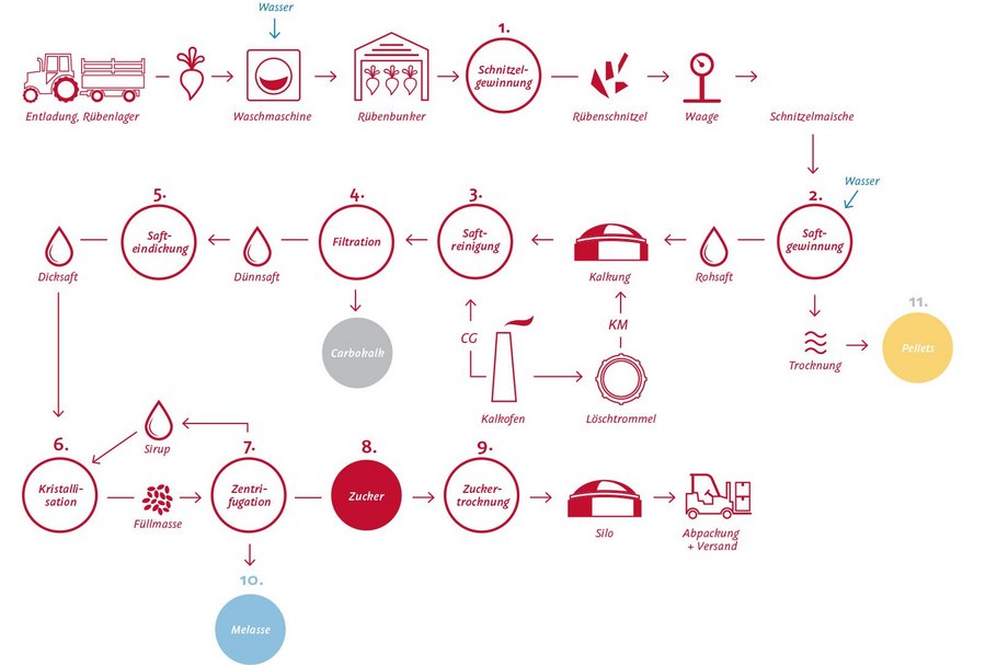 Von der Herstellung der Rübenschnitzel über die Saftgewinnung bis hin zur Kristallisation und Trocknung: Die Abbildung zeigt die einzelnen Stationen der Zuckergewinnung. Grafik: AGRANA