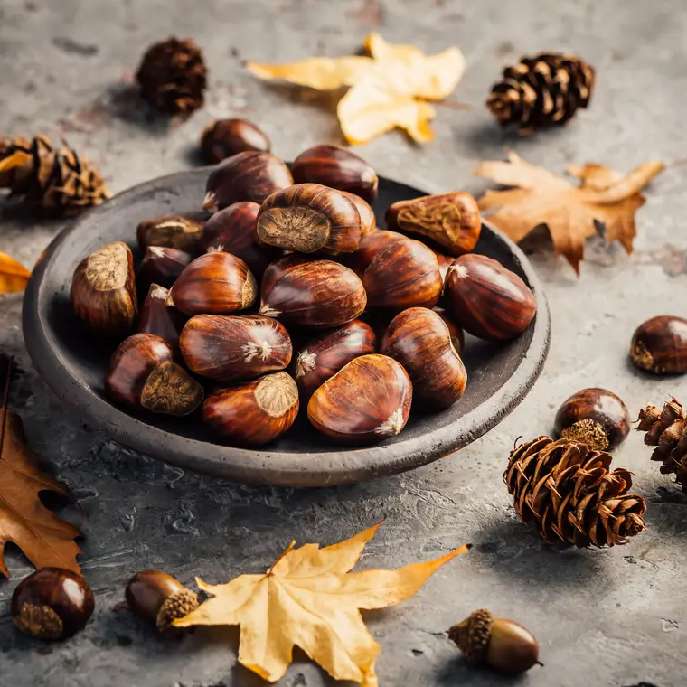 Maroni in einer grauen Schale auf einem grauen Küchentisch, daneben Laub, Eicheln, Tannenzapfen und weitere Maroni