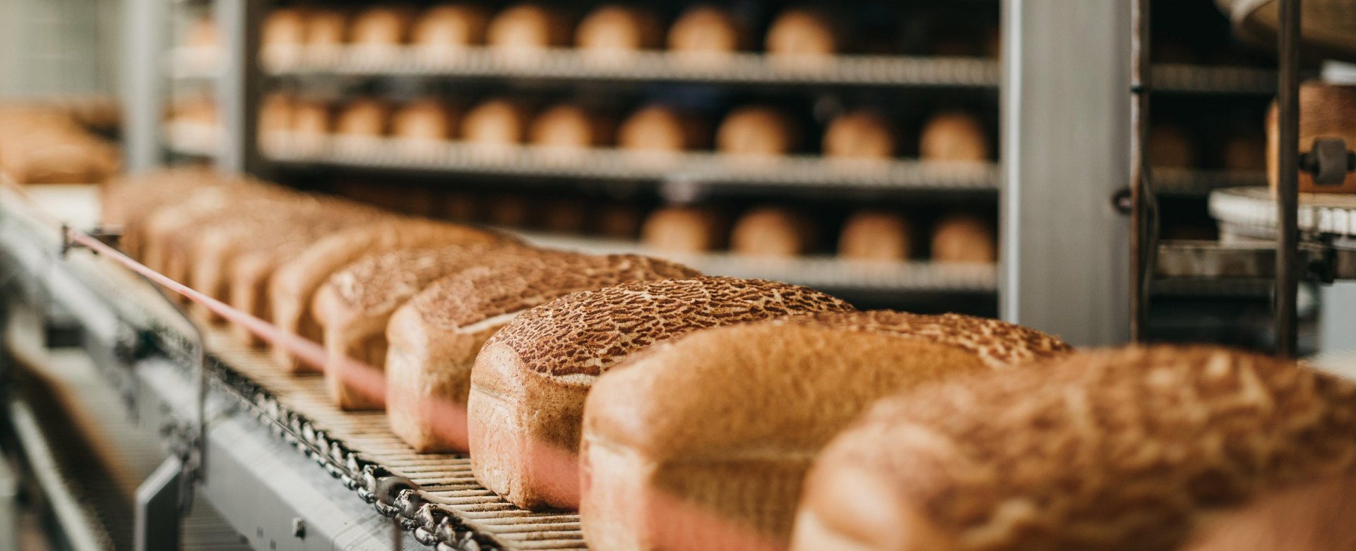 Die Produktion vieler Lebensmittel und Getränke - hier Brotlaibe auf einem Förderband - erfordert den Einsatz von Erdgas.