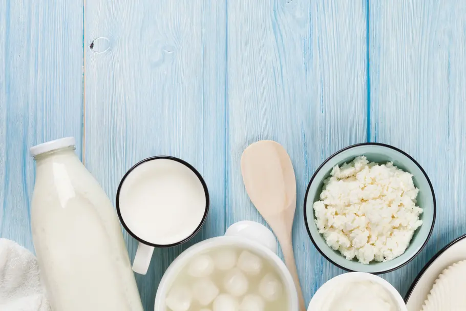 Verschiedene Milchprodukte vor bläulichem Holzhintergrund – darunter Milch in einer Glasflasche, verschiedene Käsesorten, Sauerrahm und Joghurt in Schüsseln sowie Butter auf Papier