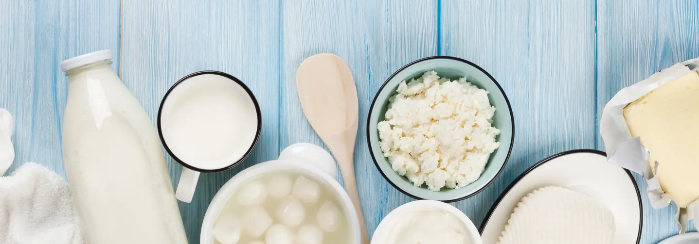 Verschiedene Milchprodukte vor bläulichem Holzhintergrund – darunter Milch in einer Glasflasche, verschiedene Käsesorten, Sauerrahm und Joghurt in Schüsseln sowie Butter auf Papier