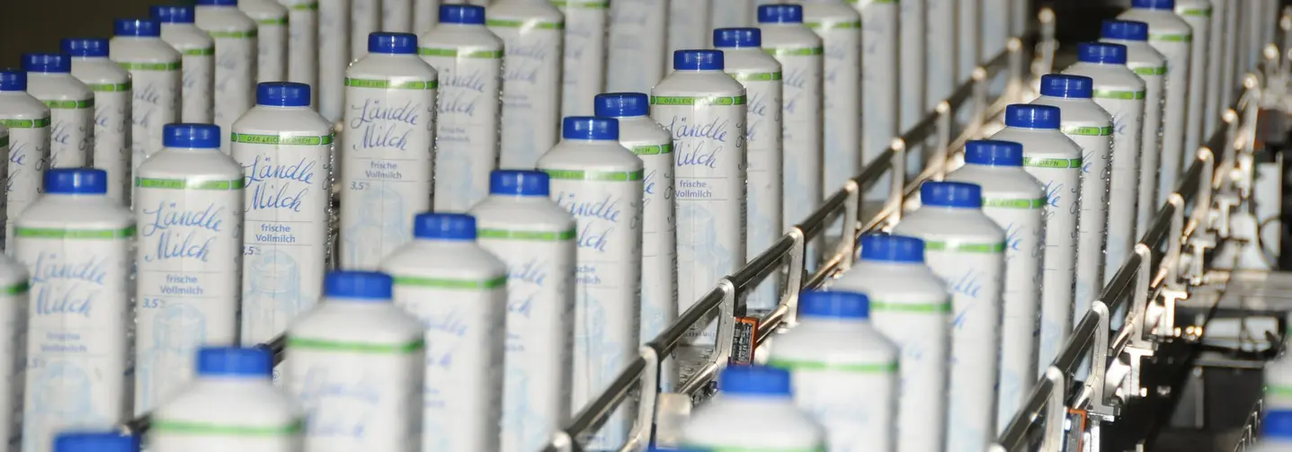 Zahlreiche NÖM Vollmilch Tetra Paks am Ende des Produktionsprozesses in der Abfüllanlage.
