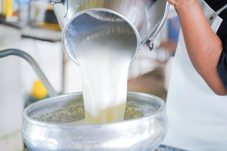 Umfüllen von Milch aus einer Kanne in einen Tank: Bei der Herstellung von laktosefreier Milch wird der Milchzucker entfernt.
